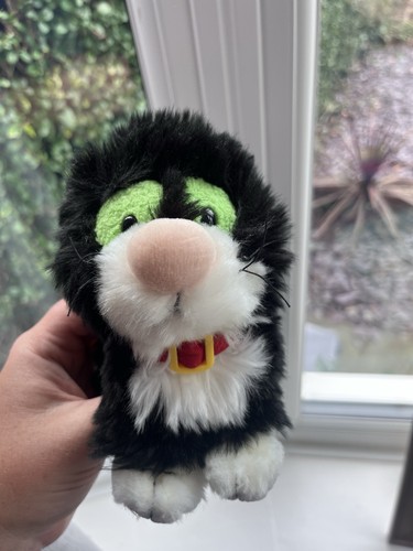Jess the cat - , pat