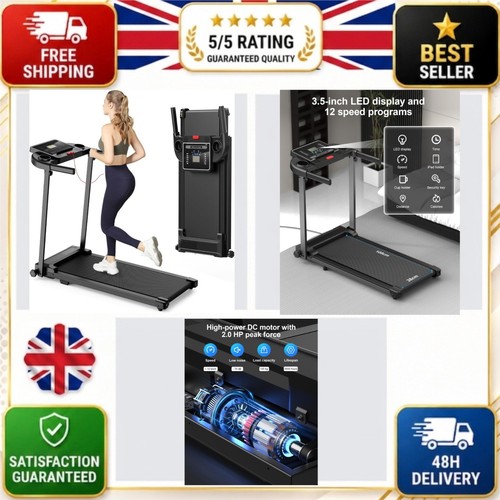 Electric folding treadmill - folding,