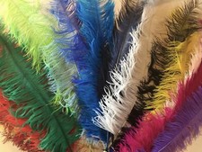 Large Ostrich Feathers 20-22 INCHES Long ALL COLOURS Centerpieces Wedding Party