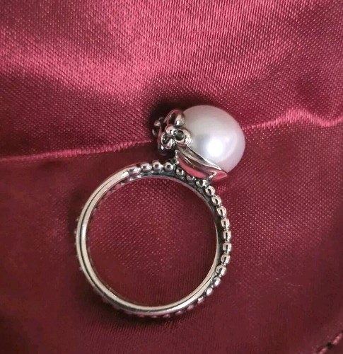 Pandora garden odyssey silver - pandora,