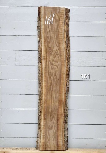 Elm live edge timber - timber, 1230mm