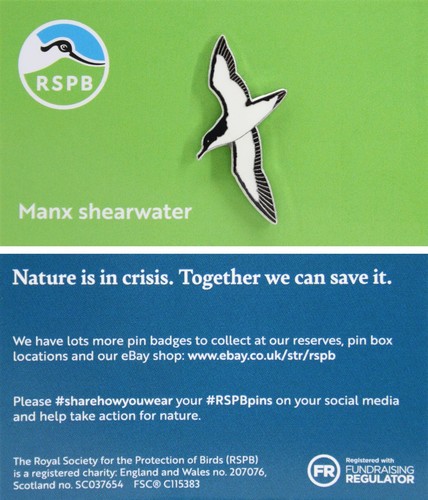 Rspb pin badge - niic, manx