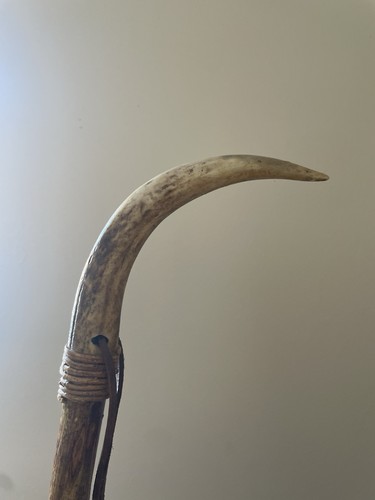Shepherds stick horn - shepherds,