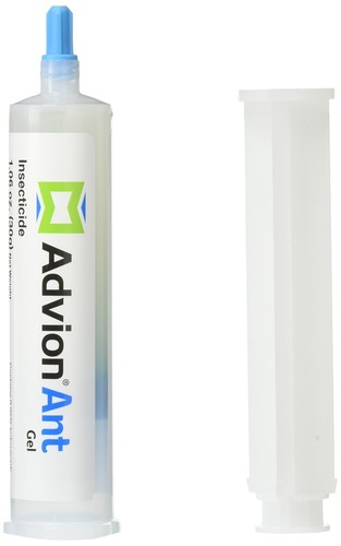 Ant killing gel effective - killing,