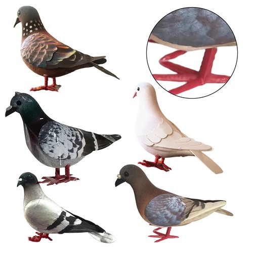Foam simulation pigeon model - simulation,