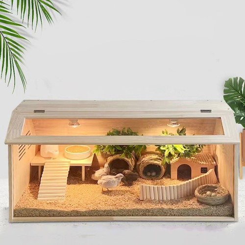 Chicks brooder box - box, transparent