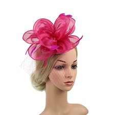 Fascinator Hat with VeilHeadpiece for Weddings Races Organza Feather Headband