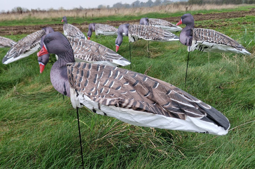 Goose decoys ghg prograde - goose,