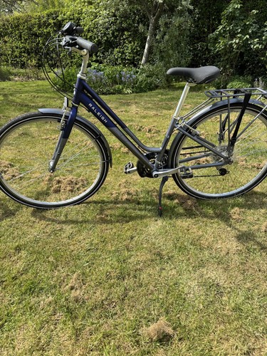 Raleigh pioneer step - raleigh, through
