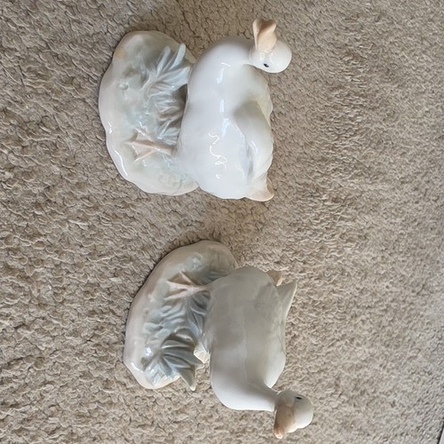 Pair ceramic pottery - pair, duck