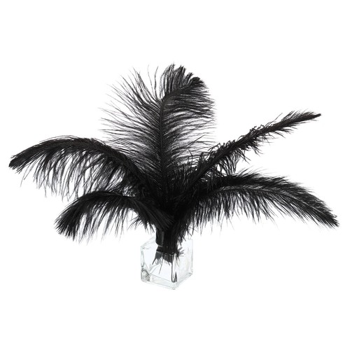 100 pcs natural black white - /,