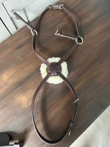 Expert bits grackle bridle - expert,