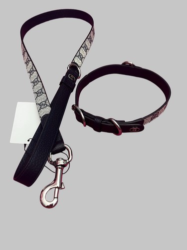 Gucci pet dog - dog, size