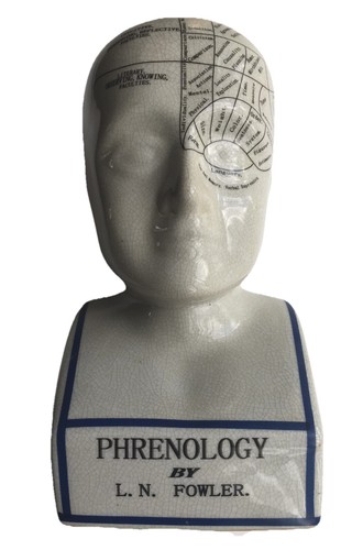 Phrenology head fowler - phrenology,
