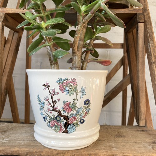 Vintage sylvac pottery plant - vintage,