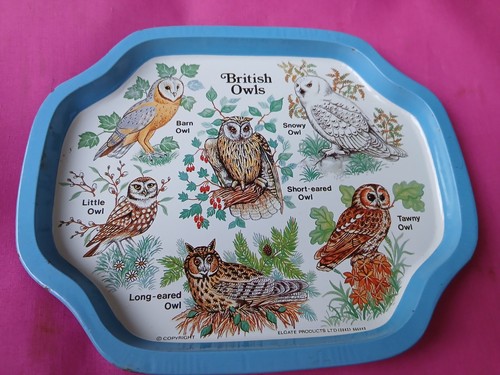 Vintage small tea - small, tray