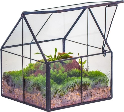 Mini glass terrarium with lid - with,