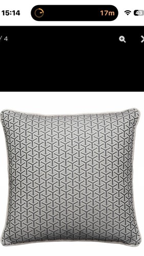 Andrew martin cushions 2 - martin, x