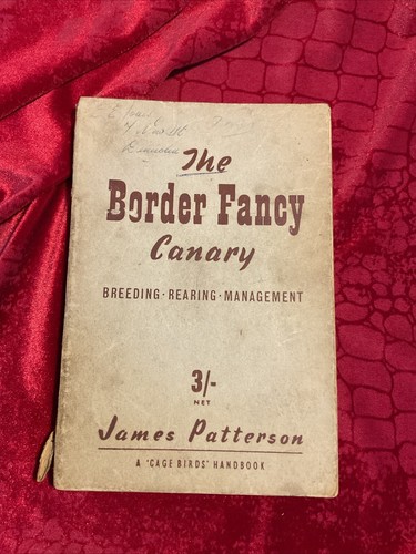 The border fancy - border, fifth