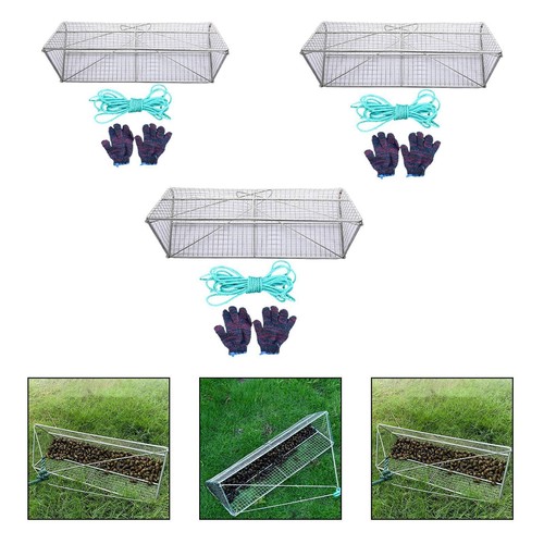 Field snails cage river - field,