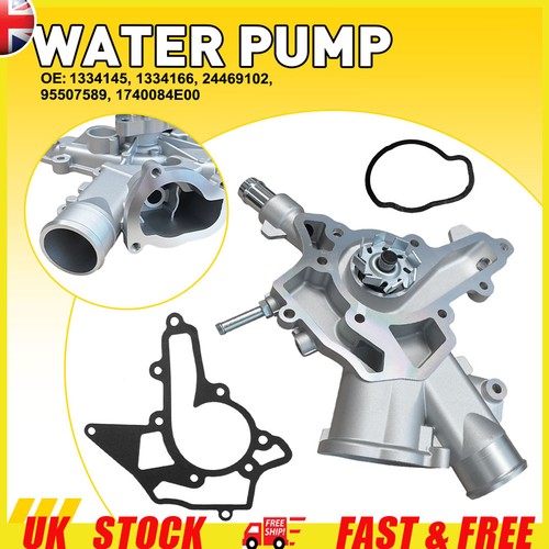 Water pump gasket - w/,