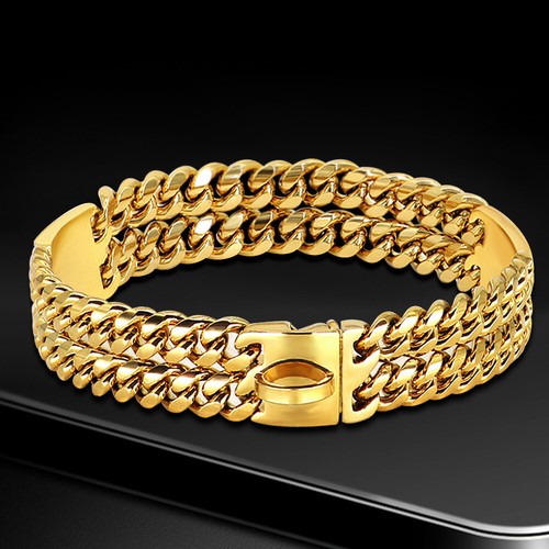 Double gold chain dog - chain, collar