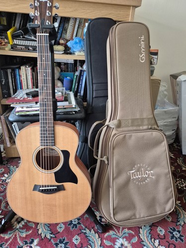 Taylor gsmini sapele
