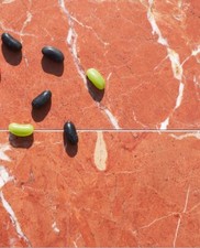 Rojo Alicante Polished Marble Wall & Floor Tiles SAMPLE