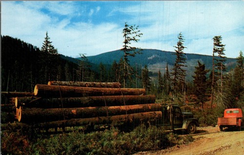 Postcard logging truck with - postcard,