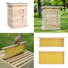 Beekeeping Honey Bee Hive