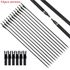 Compound Bow Arrows Set
