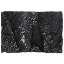  Reptile Background for