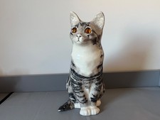 Stunning Winstanley Grey Tabby  Cat  Size 7