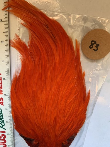Fly tying cock - , cape