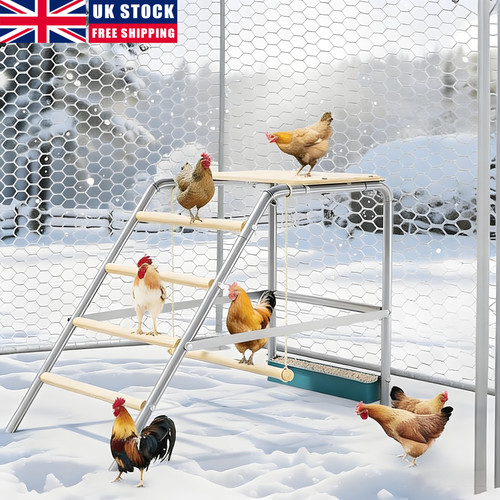 Chicken coop toy with swing - toy,
