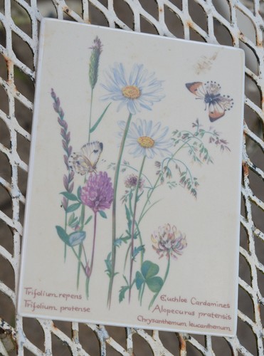 Pretty villeroy and boch - and,