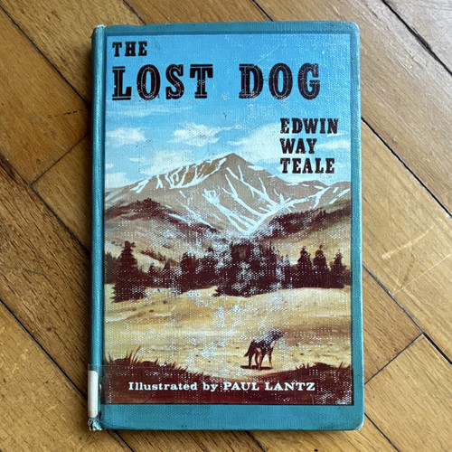 The lost dog hardcover edwin - dog,