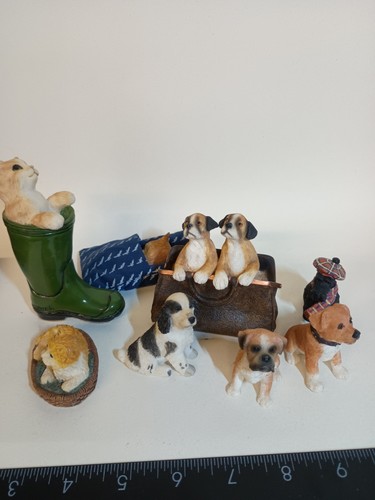 Cats dogs job - dogs, leonardo