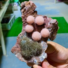 261G Indian dandelion zeolite Quartz Crystal Cluster Mineral Specimen