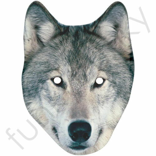 Wolf husky spitz - husky, celebrity