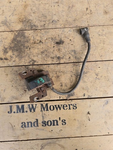 Spark ignition coil - coil, briggs