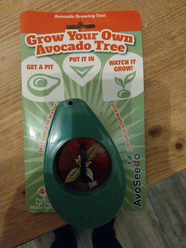 Grow your own avocado - your,