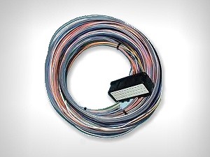 Omex 600 ecu plug tails - omex,