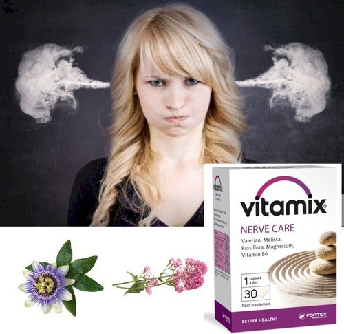 Fortex vitamix nerve - fortex,