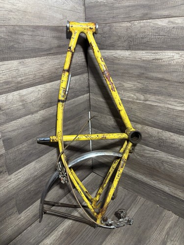 1967 schwinn stingray fastback - 1967,