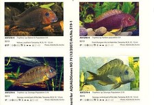 Supplements (Stickers) for AQUALOG African Cichlids II, Tanganyika I  TROPHEUS