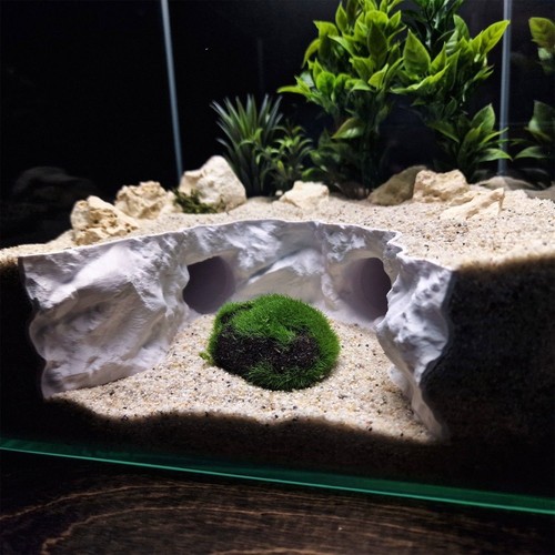Aquarium cave decoration - aquarium,