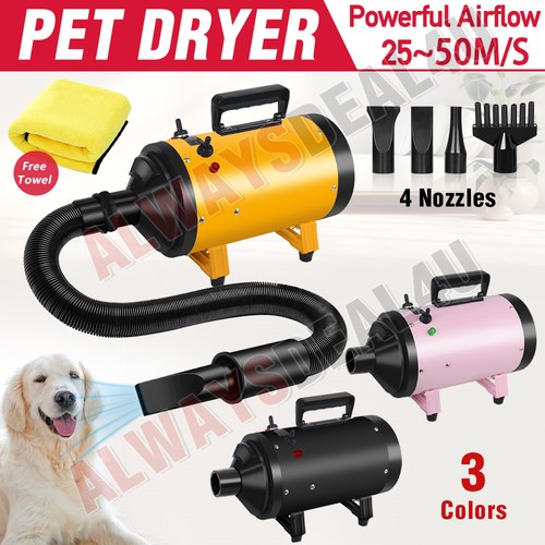 3200w pet dog cat - cat, hair