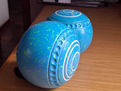 Taylor vector bowls - taylor, 5