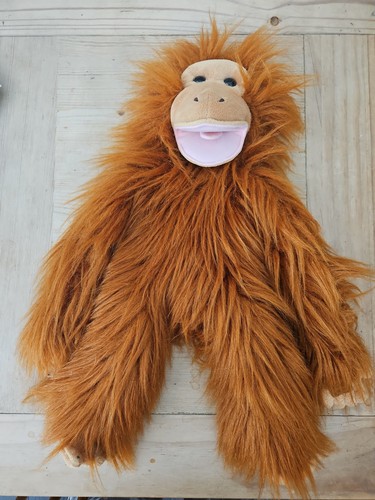 Ventriloquist dummy puppets - ventriloquist,